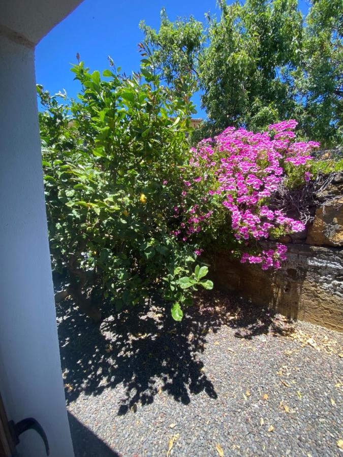 Casa Pancho Holiday home